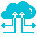 Test websites, APIs or any other software connected to the network.